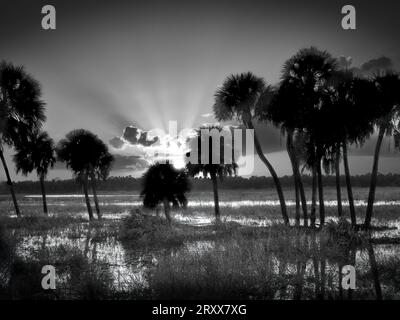 Infrared Red black and white image of sun with sun rays with clouds at sunset over Myakka River State Park in Sarasota Florida USA Stock Photo