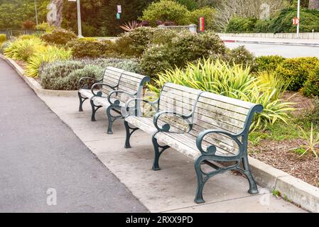 Empty wooden benches along a paved path in a park in autumn Stock Photo