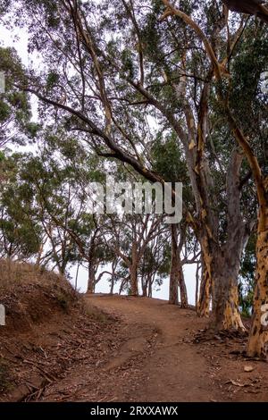 Views while cycling the Inspiration Point Loop at Will Rogers Historical Park in Santa Monica, california. Views of the pacific ocean and downtown los Stock Photo