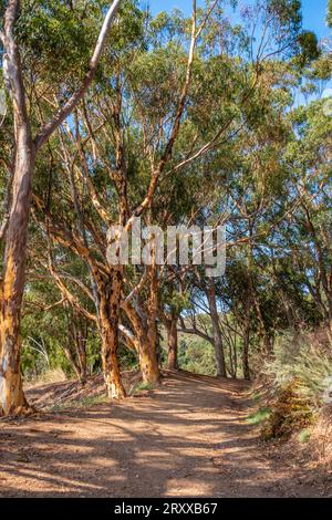 Views while cycling the Inspiration Point Loop at Will Rogers Historical Park in Santa Monica, california. Views of the pacific ocean and downtown los Stock Photo