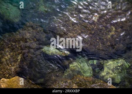 Top view on sea water with underwater stones, nature background Stock Photo