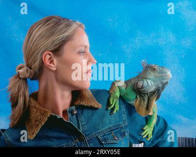 Woman with Common Iguana (Iguana iguana), male Stock Photo