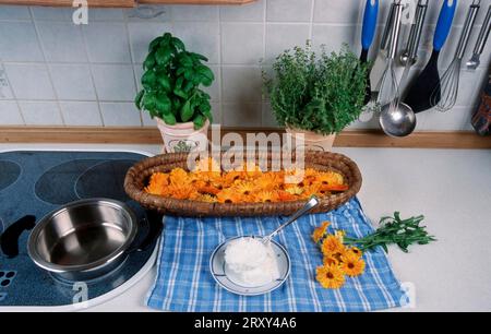 Preparation of Common Calendula (Calendula officinalis), preparation of ointment and flowers, flowers, garden plants, garden medicinal herbs Stock Photo