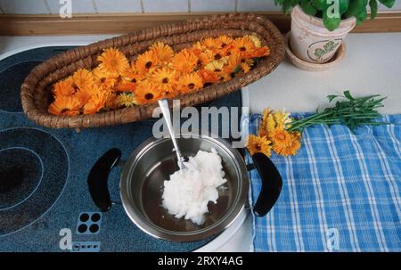 Preparation of Common Calendula (Calendula officinalis), preparation of ointment and flowers, flowers, garden plants, garden medicinal herbs Stock Photo