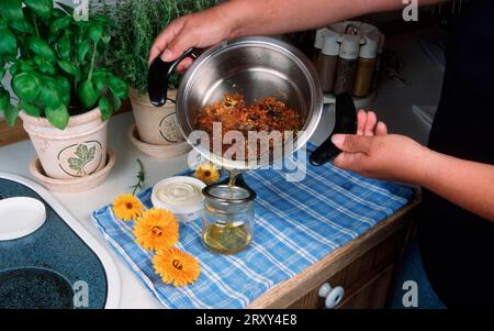 Preparation of Common Calendula (Calendula officinalis), preparation of ointment and flowers, flowers, garden plants, garden medicinal herbs Stock Photo