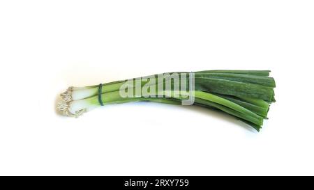 bunch of white onion on a white background Stock Photo