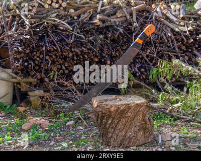 An old a very used machete stuck in a trunk with some firewood in the background, in a farm at the highlands of the eastern Andean mountains. Stock Photo