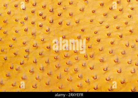 A yellow with lumps leather fabric in a close up view Stock Photo