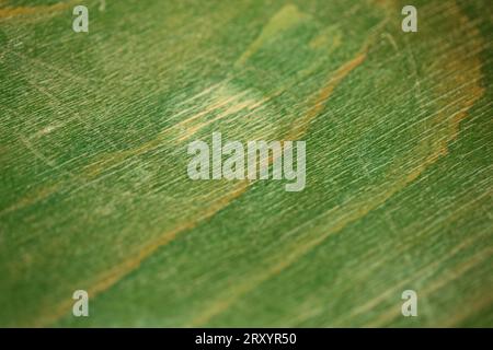 Retro old green chair texture abstracts close up background high quality big size stock photography instant prints Stock Photo