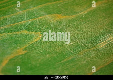 Retro old green chair texture abstracts close up background high quality big size stock photography instant prints Stock Photo