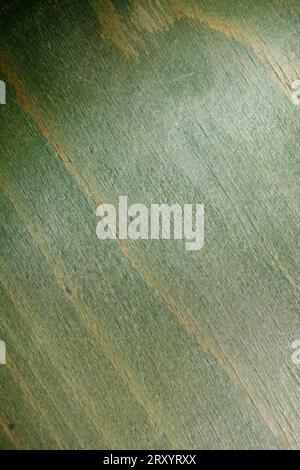Retro old green chair texture abstracts close up background high quality big size stock photography instant prints Stock Photo