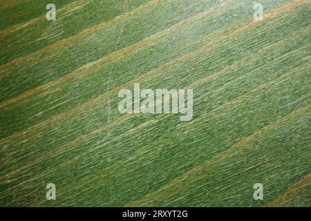 Retro old green chair texture abstracts close up background high quality big size stock photography instant prints Stock Photo