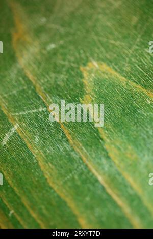 Retro old green chair texture abstracts close up background high quality big size stock photography instant prints Stock Photo