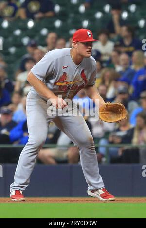 MILWAUKEE, WI - SEPTEMBER 22: St. Louis Cardinals starting pitcher Miles  Mikolas (39) bunts during a game between the Milwaukee Brewers and the St  Louis Cardinals at American Family Field on September