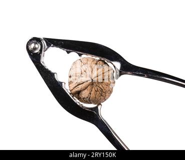 a cracked walnut with a nutcracker on a transparent background Stock Photo