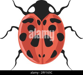 Bug coccinella septempunctata seven-spot ladybird Stock Vector