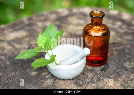 Lamium album, white nettle or white dead-nettle next to pharmacy utensils bottle for medicines, pantglas made of dark glass for preparation of tinctur Stock Photo