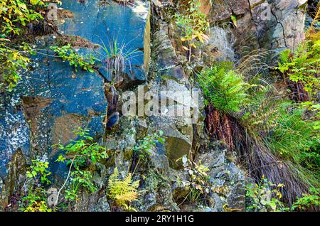 the rocky cliff face with a small waterfall and plants growing on it. The cliff face is made up of large rocks and boulders with cracks and crevices. Stock Photo