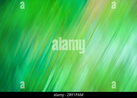 Crash zoom  effect speed defocused green background. Radial speed lines blurry zoom green background. Stock Photo