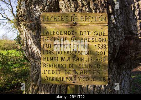 France, Plechatel, 35, Breslon oak.France, Plechatel, 35, Breslon oak legend, engraved on a wooden panel. Stock Photo