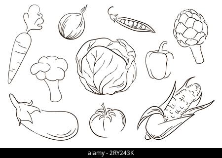 Vector vegetables set in line art style. Collection of vegetables. Line art icons of eggplant, artichoke, corn, cabbage. Stock Vector