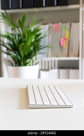 Home Office: Comfortable Remote Workspace, Pleasant Desk for Work, Office with Plants, Keyboard on White Desk, Clean Desk Policy. Online Shopping Stock Photo