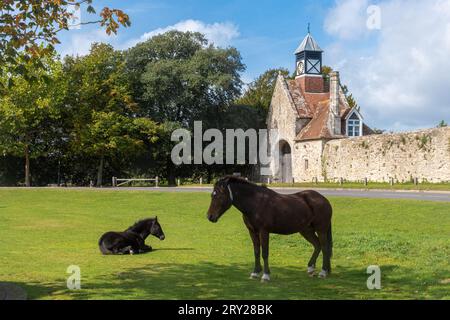 New Forest ponies on the village green in front of Beaulieu Abbey Outer Gatehouse, Beaulieu, Hampshire, England, UK Stock Photo