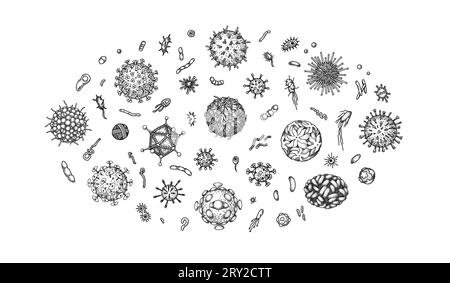 Set of engraved viruses and bacteria isolated on white background. Different types of microscopic microorganisms. Vector illustration in sketch style Stock Vector