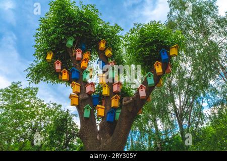 Color nesting boxes on a tree. A lot of colorful birdhouses.The Concept the help to animals. lot of nests and dwellings for birds. The concept of an a Stock Photo