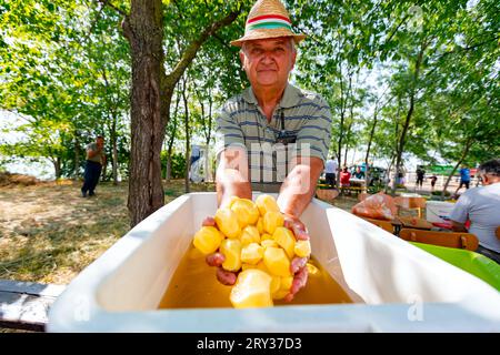 Elderly man farmer holding in his hands peeled washed raw young potatoes over white bowl with water. Preparing food outdoors Stock Photo