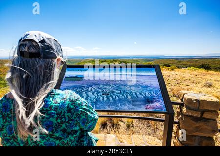 Lone female senior tourist; Park Point Overlook; Mesa Verde National Park; Colorado; USA Stock Photo