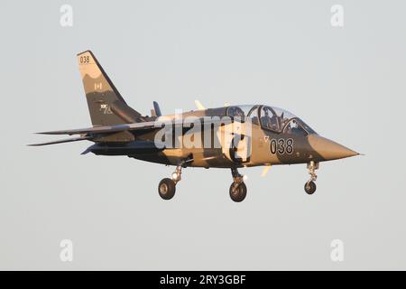 Civilian Alpha Jet from Canadian company, Top Aces landing at RAF Lakenheath after completing a training sortie with USAF F-15s. Stock Photo