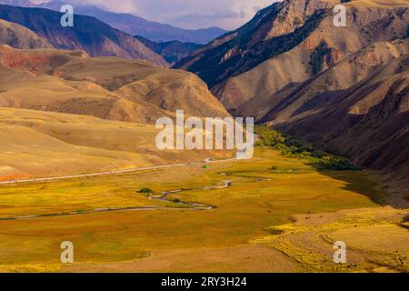 Herds of horses walk in the Kyrgyz steppe Stock Photo