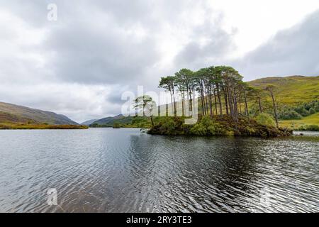 Die Insel Eilean na Moine im Süßwasser See Loch Eilt in den schottischen Highlands dient in den Harry Potter Filmen als Filmkulisse als Grabstätte von Professor Albus Dumbledore. Seitdem wird dieser einsame Ort an dem zudem die West-Highland-Eisenbahnstrecke mit dem dampfbetriebenen Jacobite Steam Train Hogwarts Express vorbei führt, von vielen Fans und Touristen aufgesucht. 22.09.2023 Loch Eilt Schottland Großbritannien *** The island of Eilean na Moine in the freshwater lake Loch Eilt in the Scottish Highlands serves in the Harry Potter films as a film set as the burial place of Professor Al Stock Photo