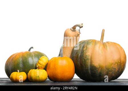 Happy Thanksgiving day. Different pumpkins on black wooden table against white background Stock Photo