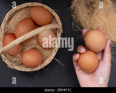 fresh chicken eggs on nest. hands take chicken eggs from the nest. chicken coop in the village Stock Photo