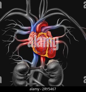 Human heart anatomy from a healthy body on a black background as a medical health care symbol of an inner cardiovascular organ Stock Photo