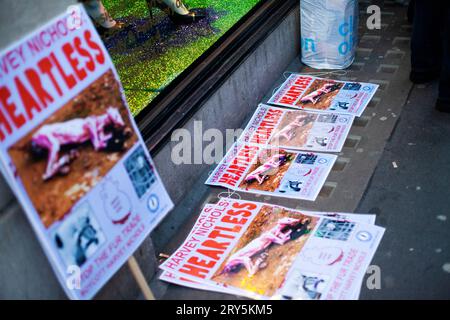 Animal rights anti fur protest outside Harvey Nichols London November 30th 2013 - posters Stock Photo