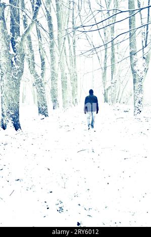 man walking away under snow in a forest Stock Photo