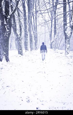 man walking away under snow in a forest Stock Photo