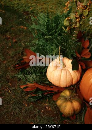 Outdoor assortment of pumpkins and gourds, rustic autumnal decor Stock Photo