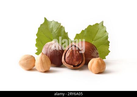 Detail of peeled and shelled hazelnuts with leaves isolated on white. Front view. Stock Photo