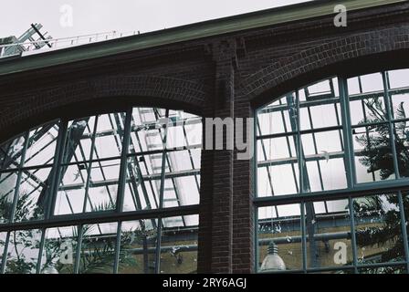 Amsterdam, Netherlands - 7 1 2020: Detail of a greenhouse building with tall glass windows and thin brick walls inside botanical garden Hortus Botanic Stock Photo