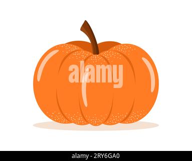 Ripe orange pumpkin isolated on white background. Flat vector illustration Stock Vector