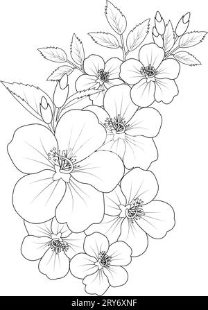 Botanical hibiscus flower drawing, hibiscus flower vector art, hibiscus ...