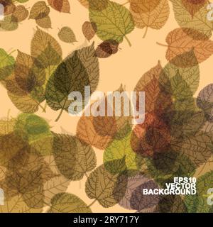 Colorful Autumn Leaves Background Stock Vector