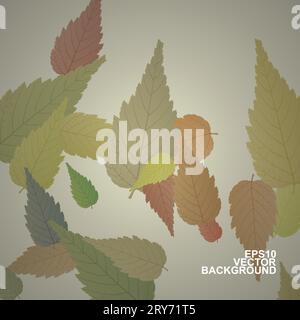 Colorful Autumn Leaves Background Stock Vector