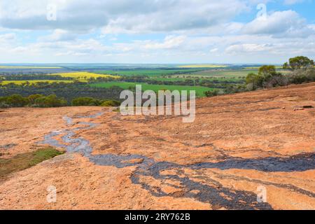 Water running down the surface of Kokerbin Rock and a view across fields of green and yellow canola, Wheatbelt region, Western Australia. Stock Photo