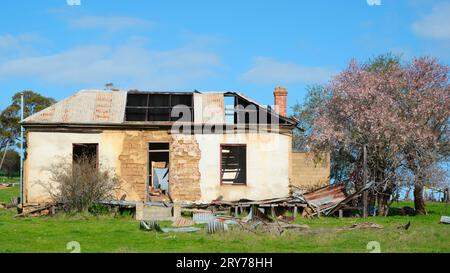 The ruins of an abandoned farmhouse falling down in the Wheatbelt region of Western Australia. Stock Photo