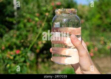 Reusable water bottle. World refill day. Zero waste concept. Stock Photo